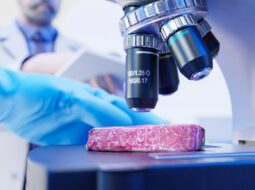 Future of Cancer Research